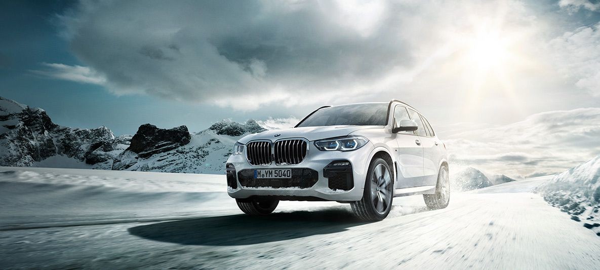 photo_in_container29661